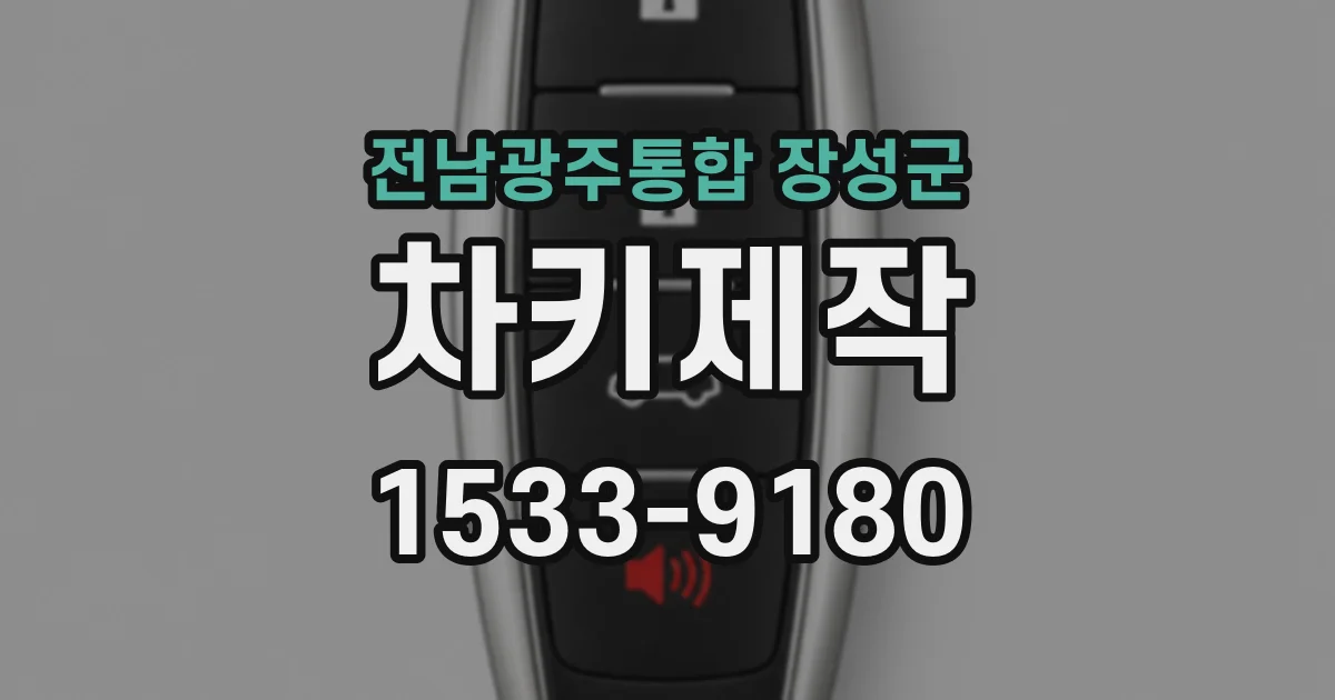 전남광주통합 장성군 차키제작