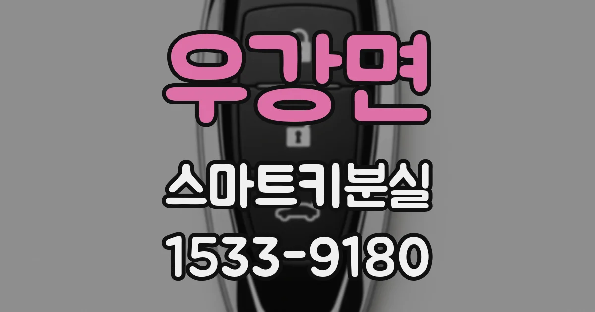 우강면 스마트키분실