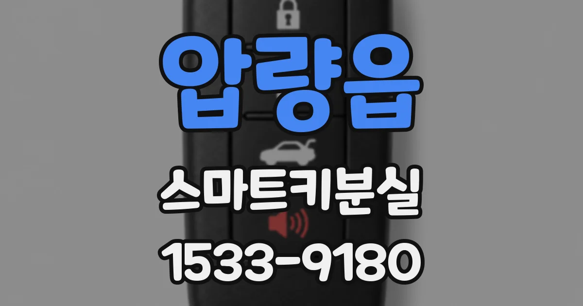 압량읍 스마트키분실