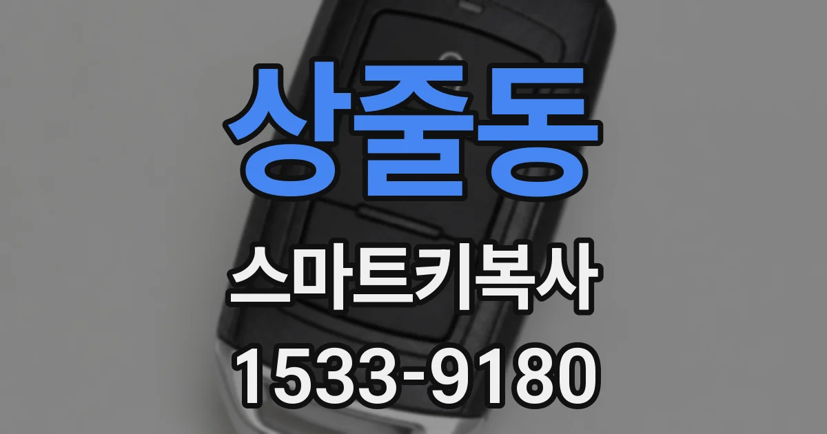 상줄동 스마트키복사