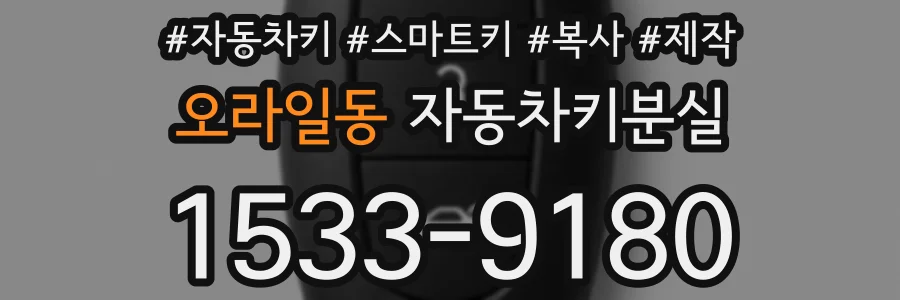 오라일동 자동차키분실