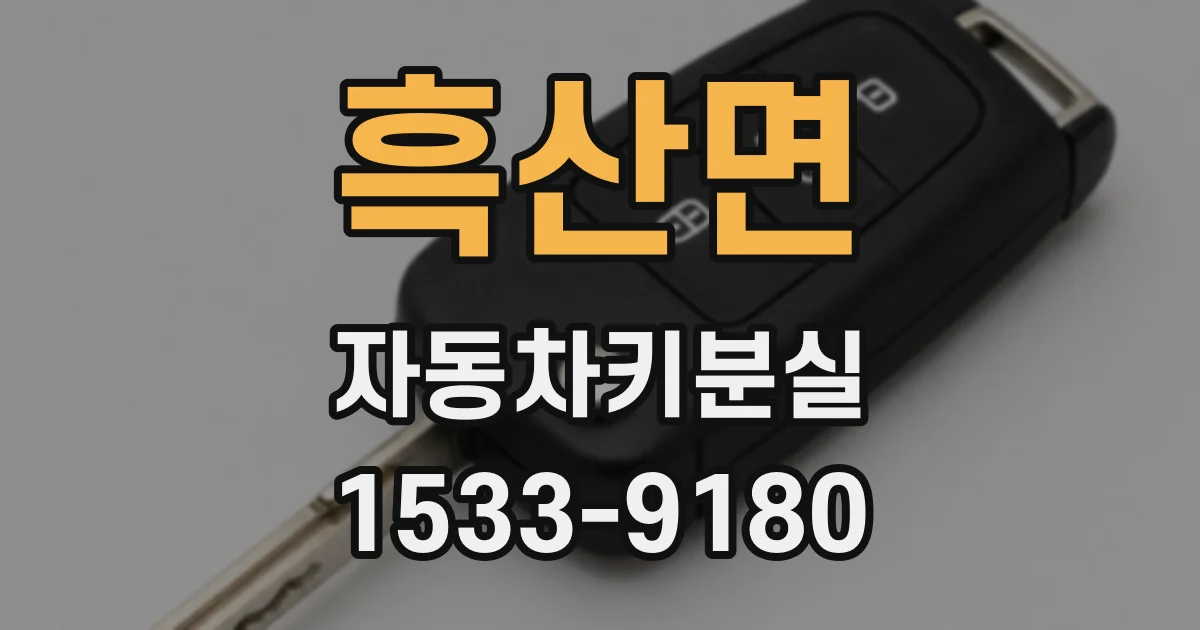 흑산면 자동차키분실