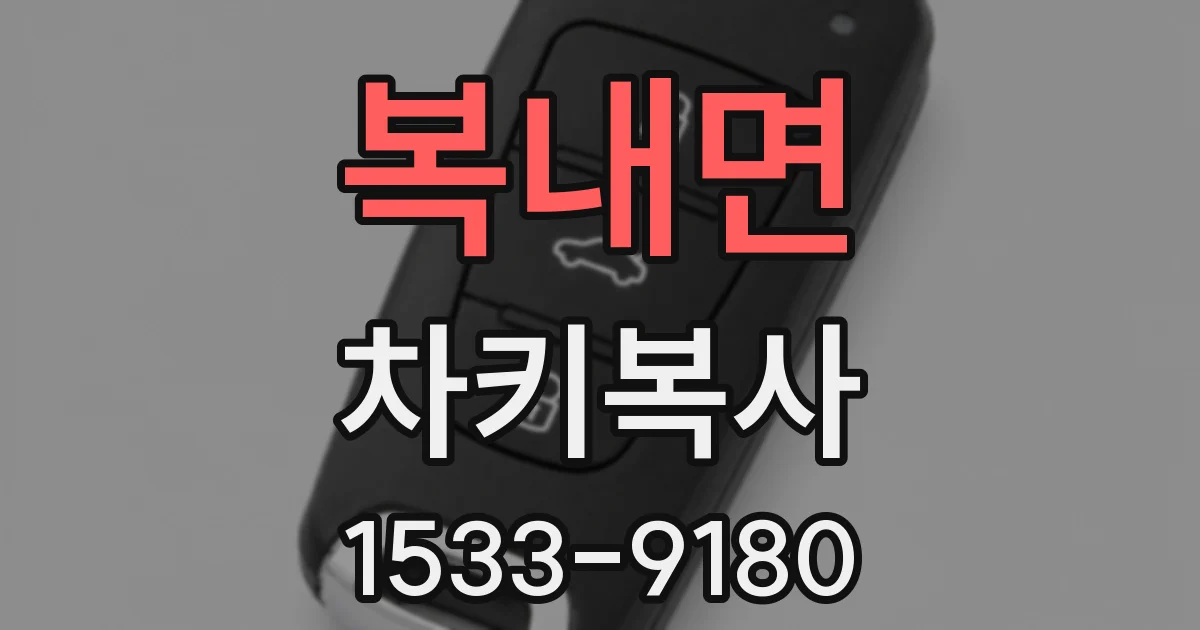 복내면 차키복사