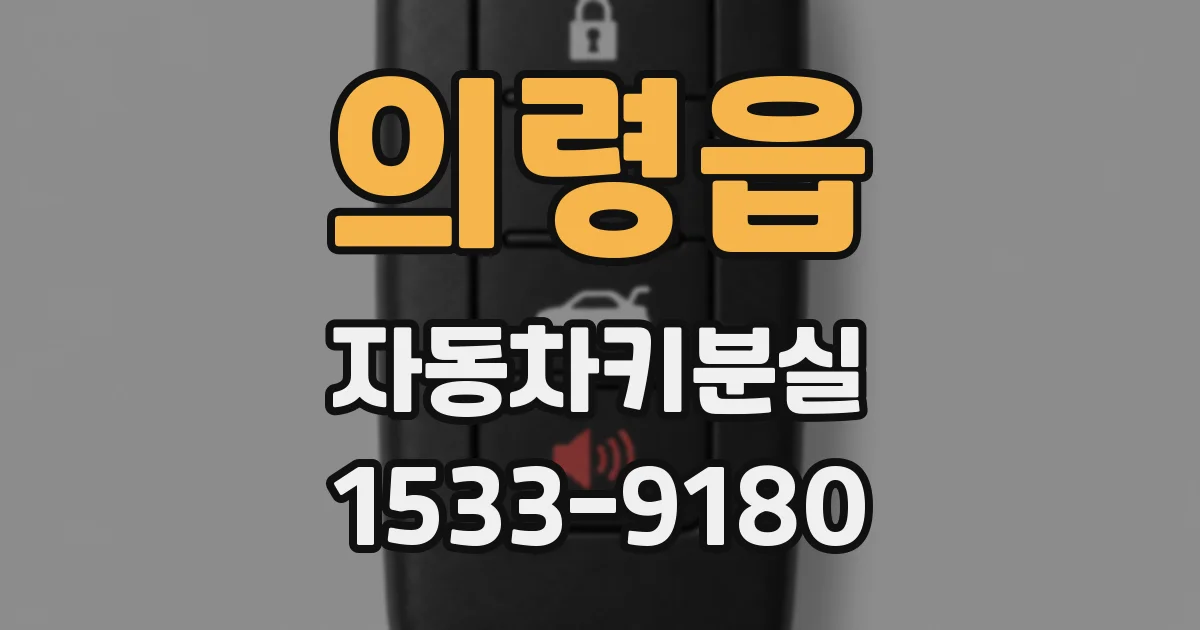 의령읍 자동차키분실