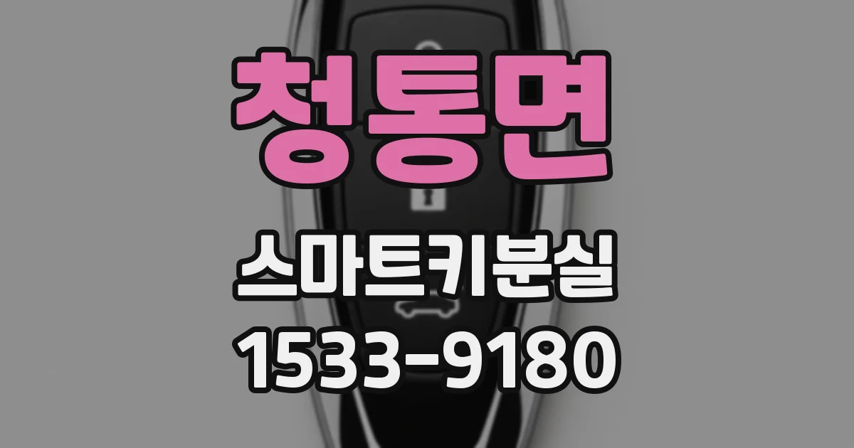 청통면 스마트키분실