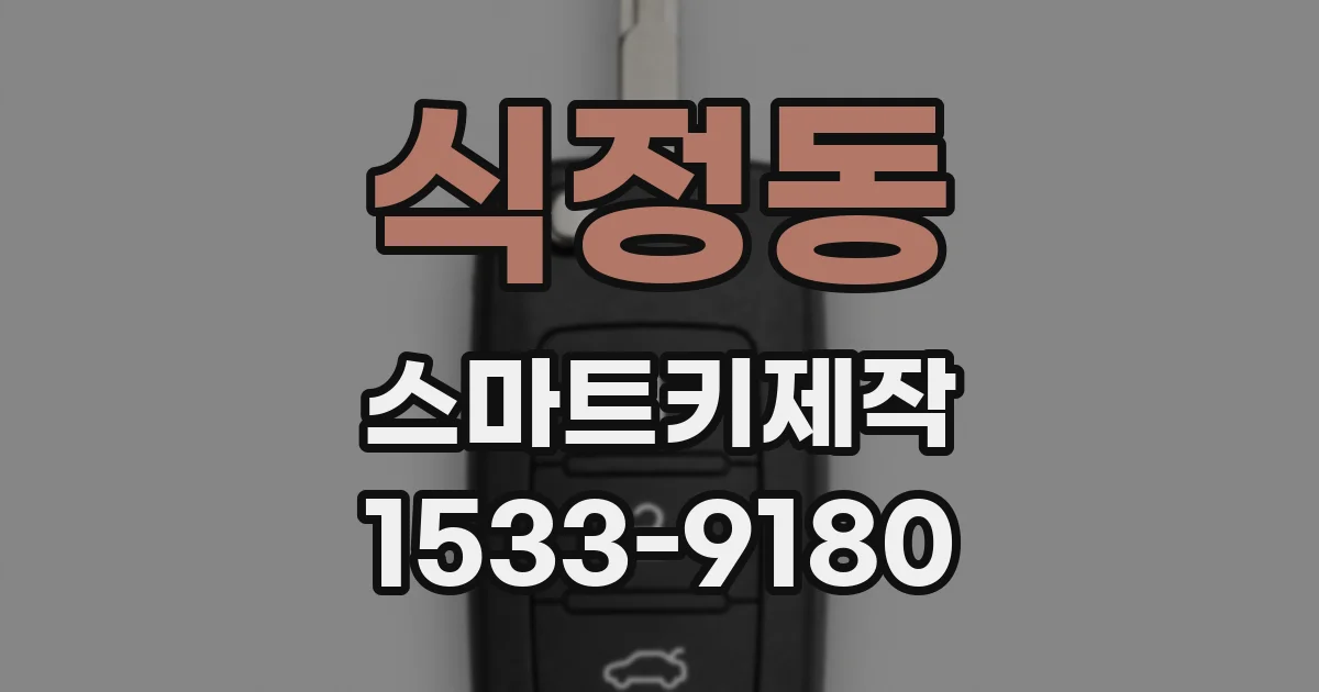 식정동 스마트키제작