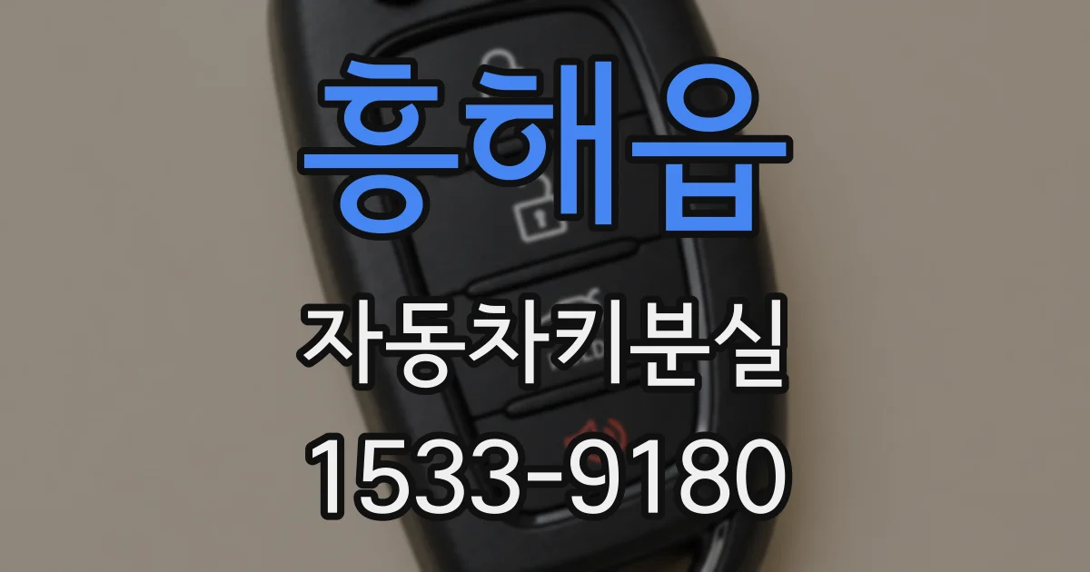 흥해읍 자동차키분실
