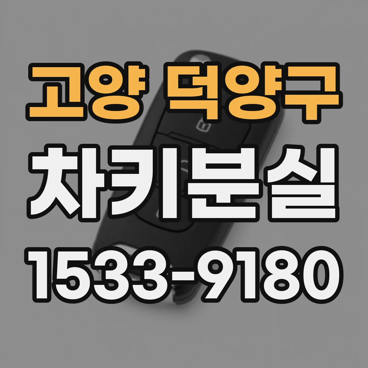 고양 덕양구 차키분실