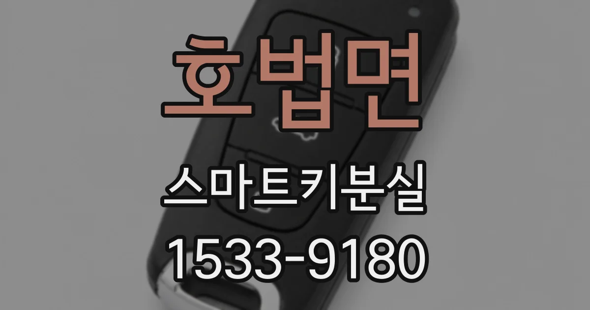 호법면 스마트키분실
