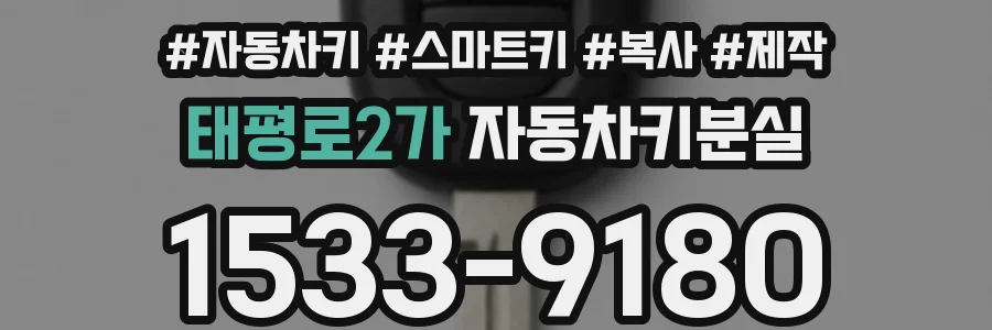 태평로2가 자동차키분실