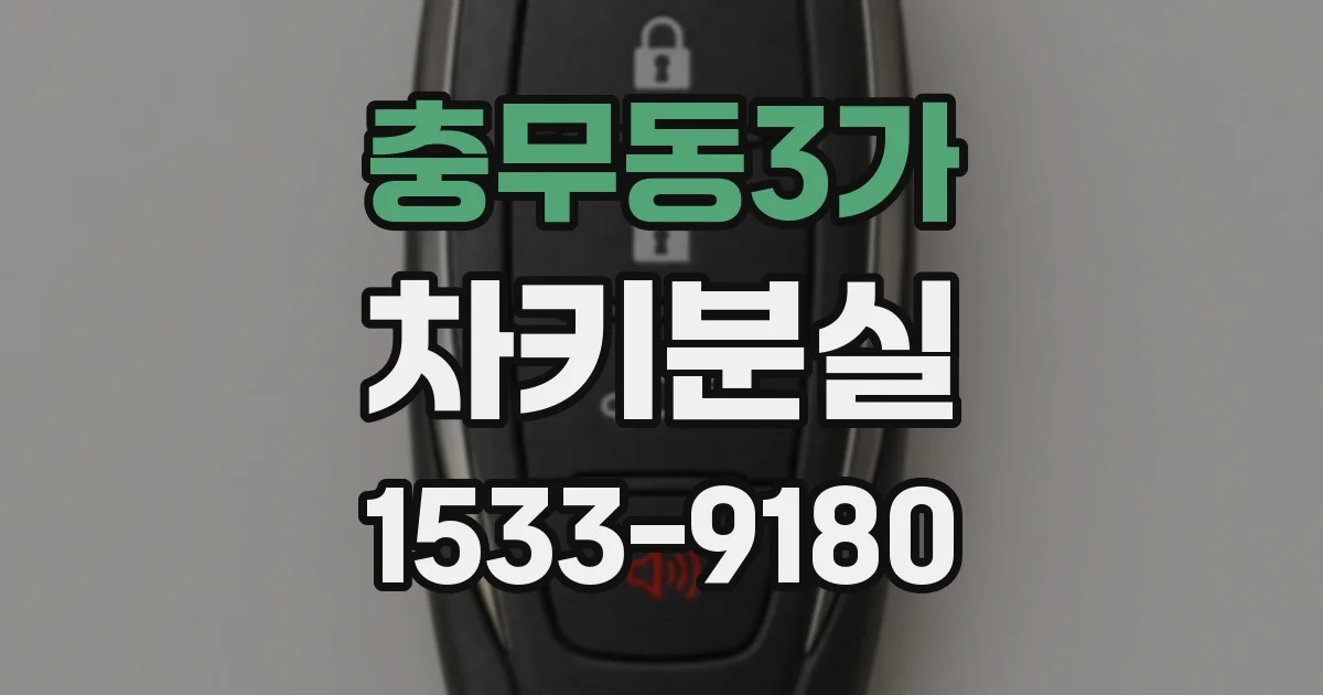충무동3가 차키분실