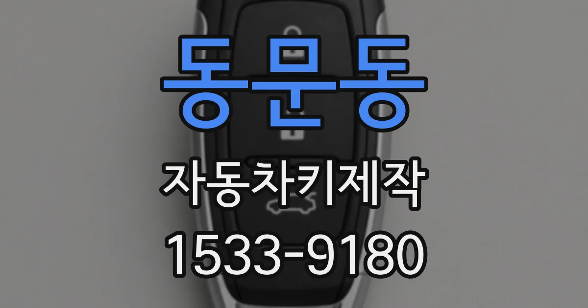 동문동 자동차키제작