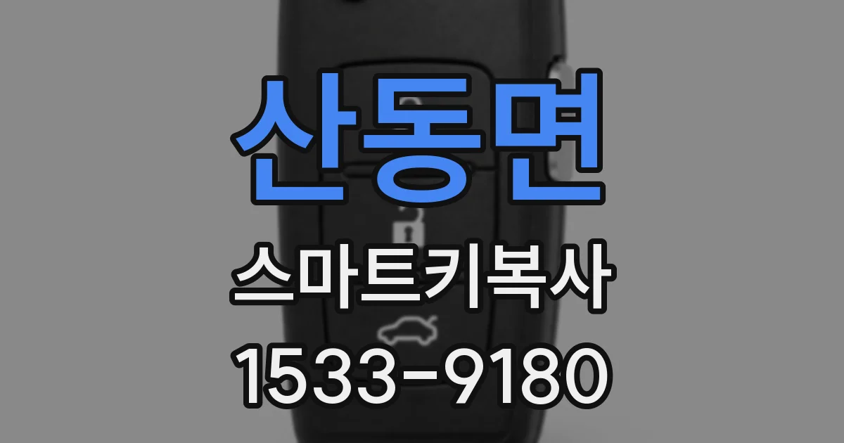 산동면 스마트키복사