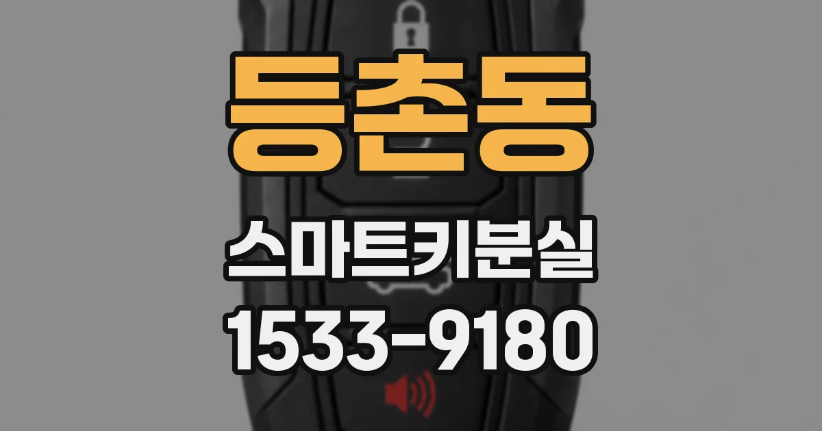 등촌동 스마트키분실