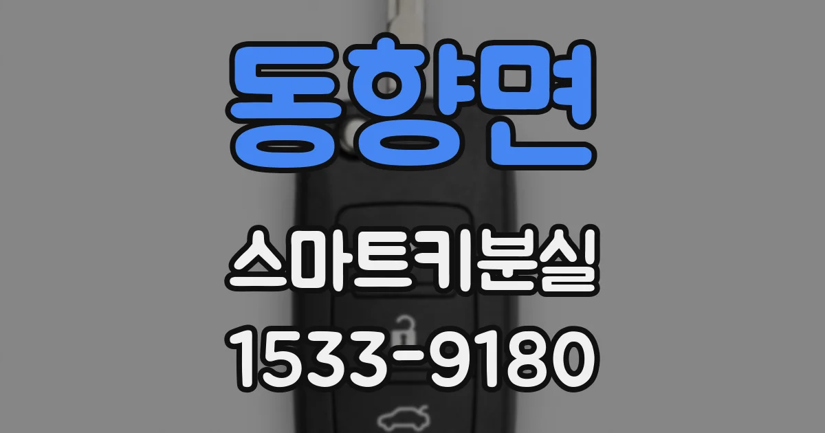 동향면 스마트키분실