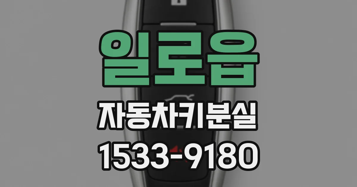 일로읍 자동차키분실