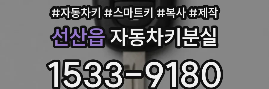선산읍 자동차키분실