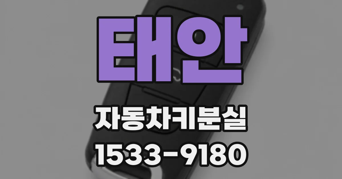 태안 자동차키분실
