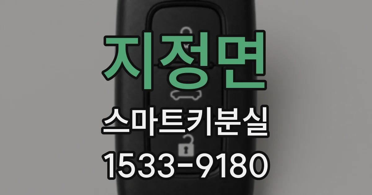 지정면 스마트키분실