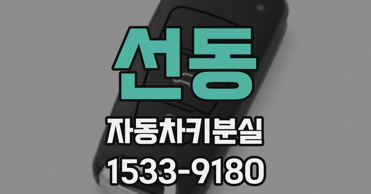 선동 자동차키분실