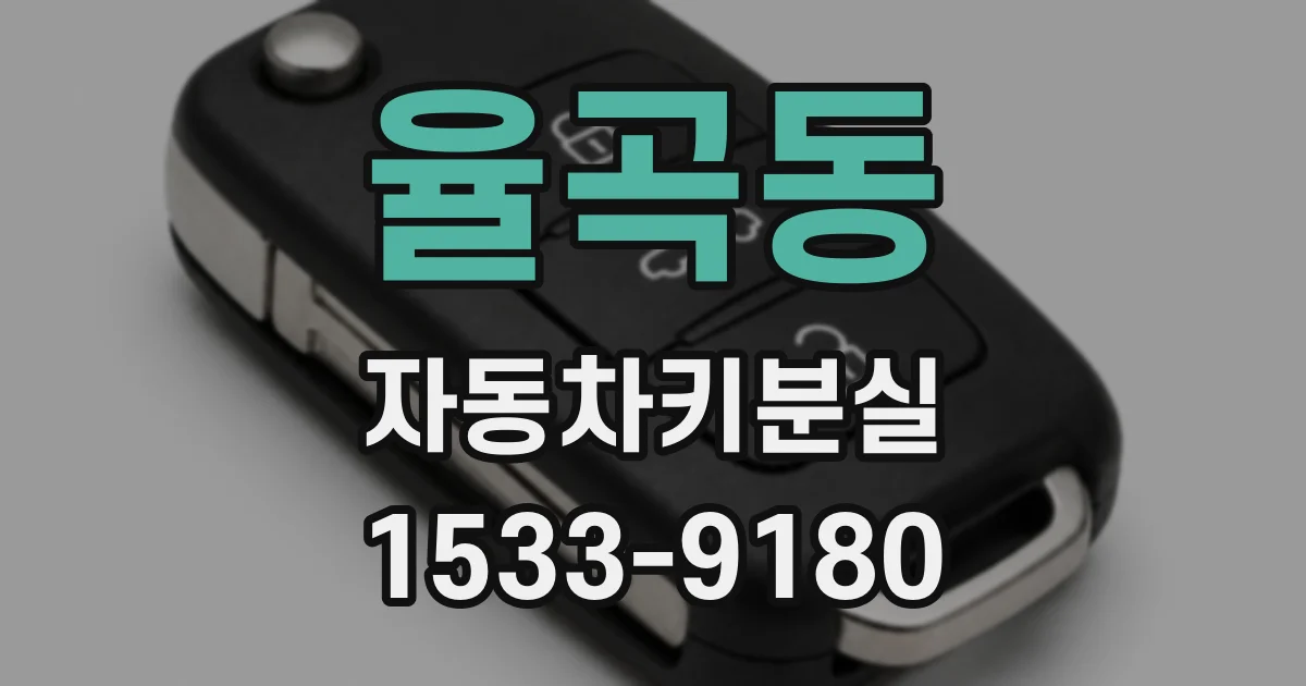 율곡동 자동차키분실