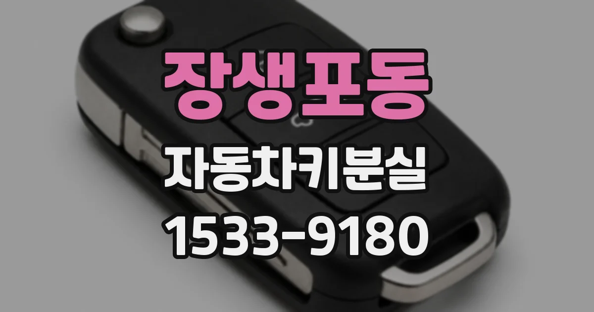 장생포동 자동차키분실