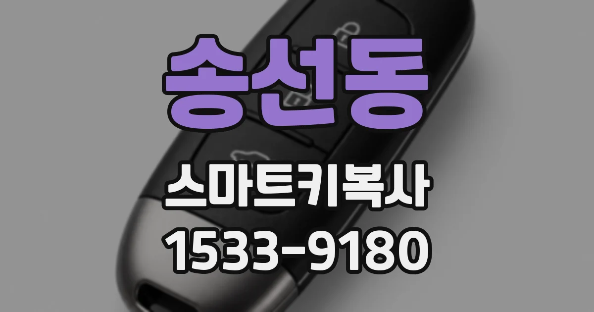 송선동 스마트키복사