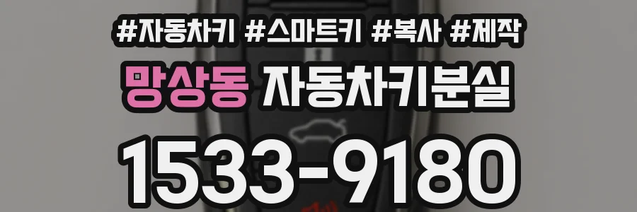 망상동 자동차키분실