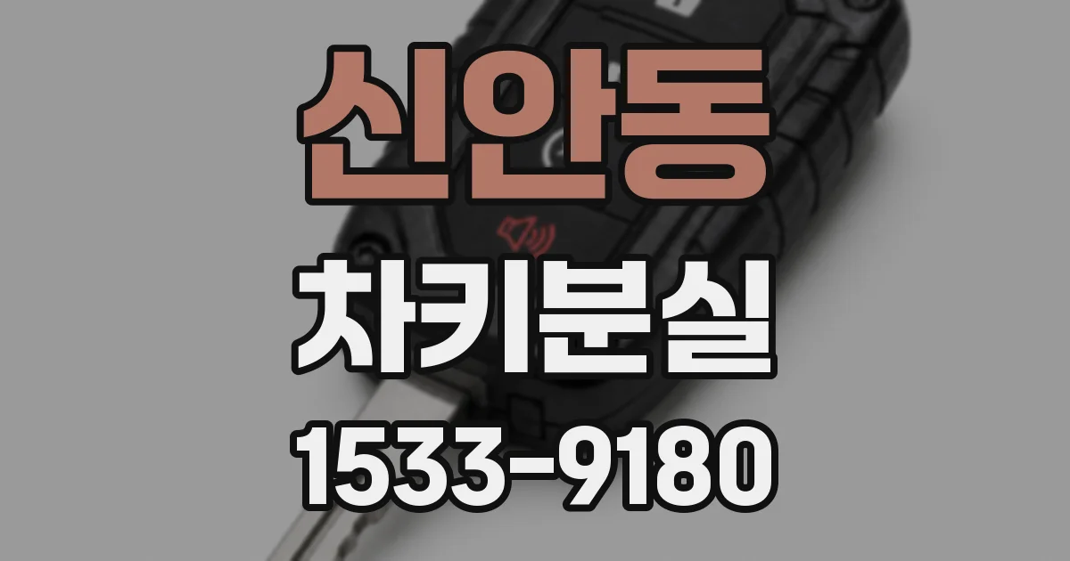 신안동 차키분실