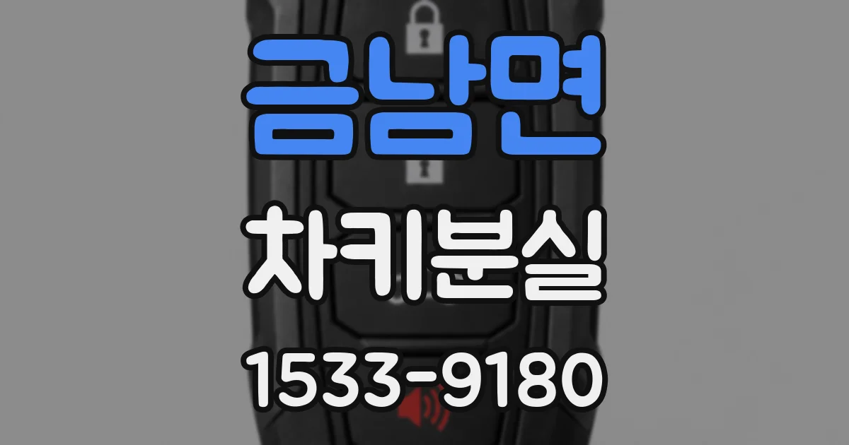 금남면 차키분실