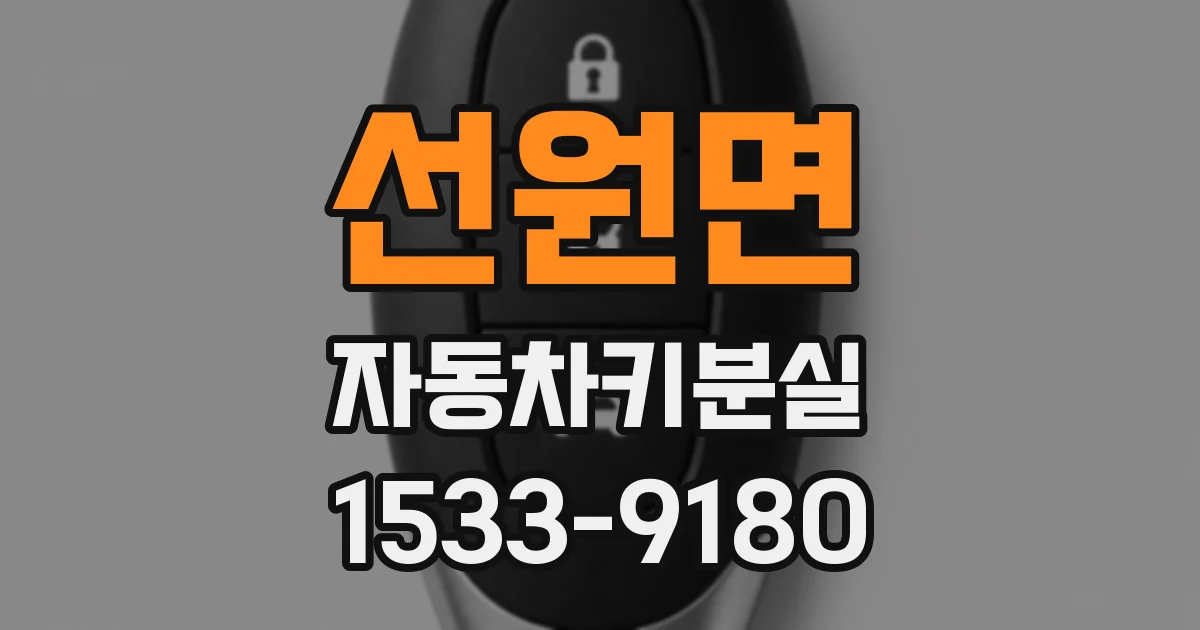 선원면 자동차키분실