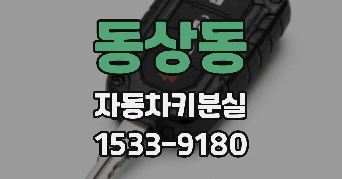 동상동 자동차키분실