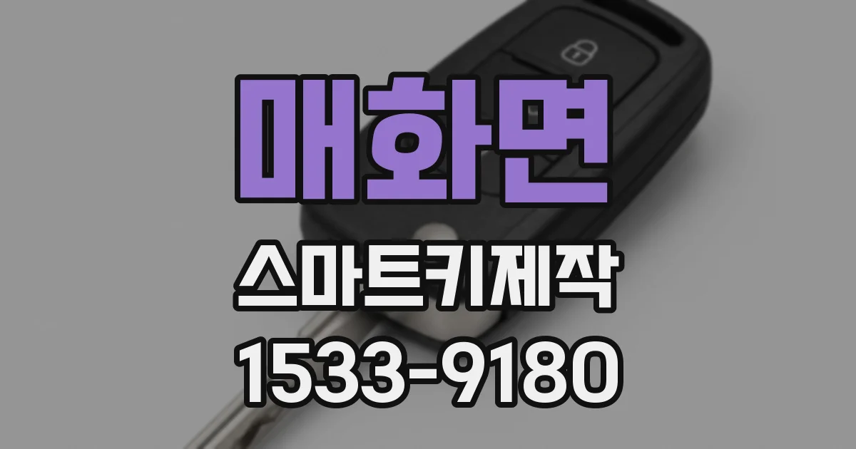 매화면 스마트키제작
