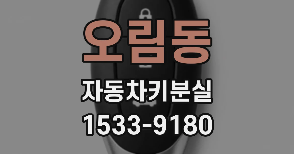 오림동 자동차키분실
