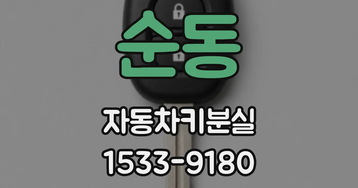 순동 자동차키분실