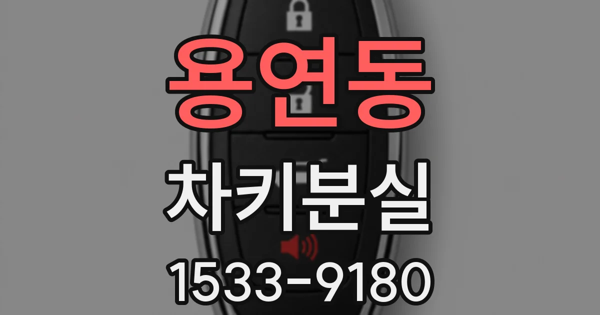 용연동 차키분실