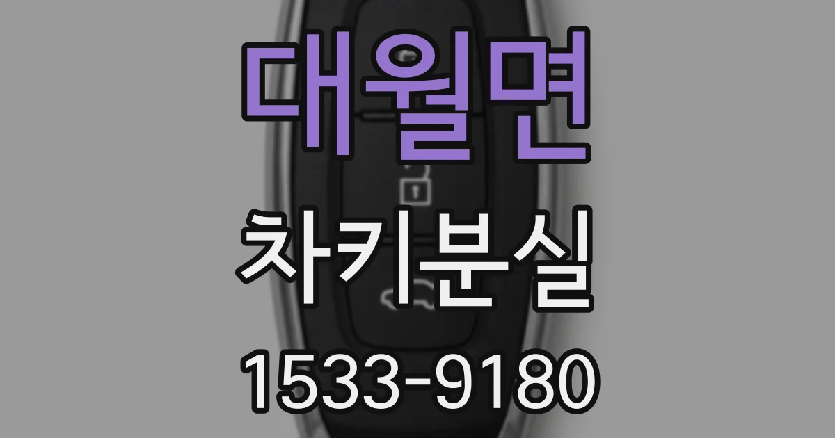 대월면 차키분실