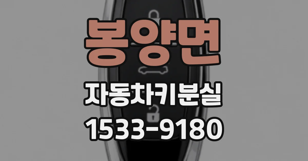 봉양면 자동차키분실