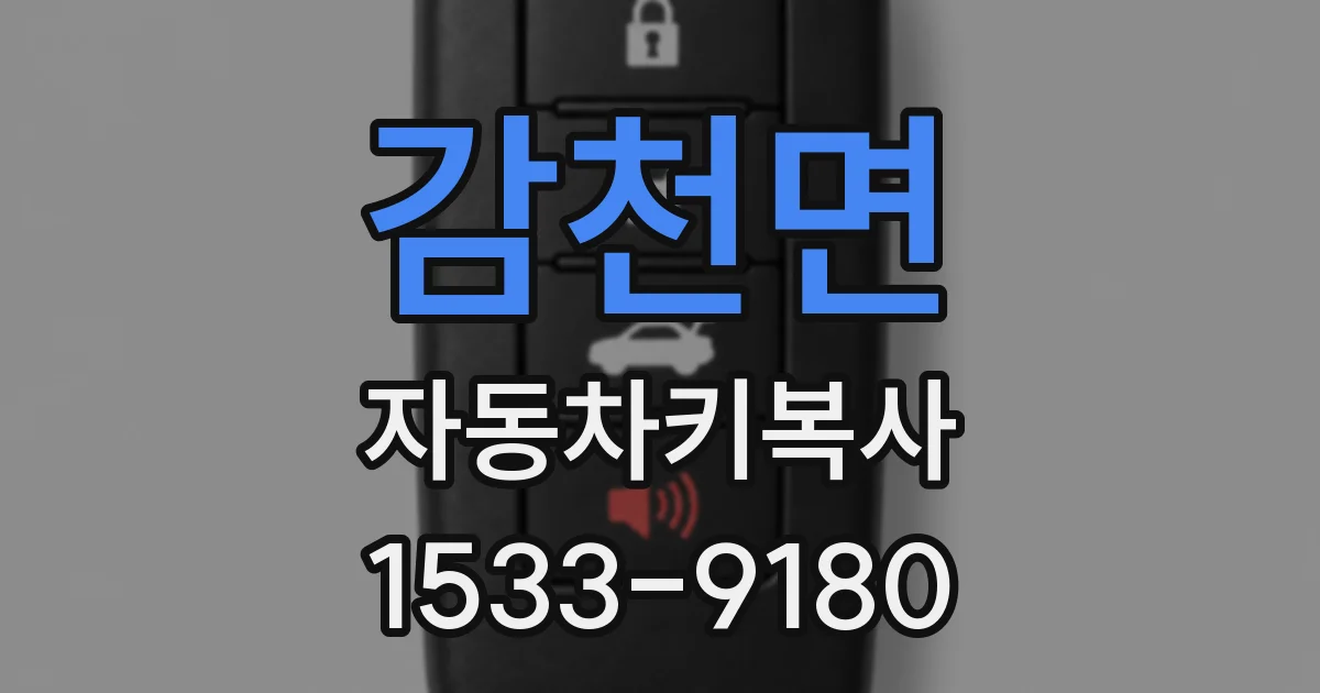 감천면 자동차키복사