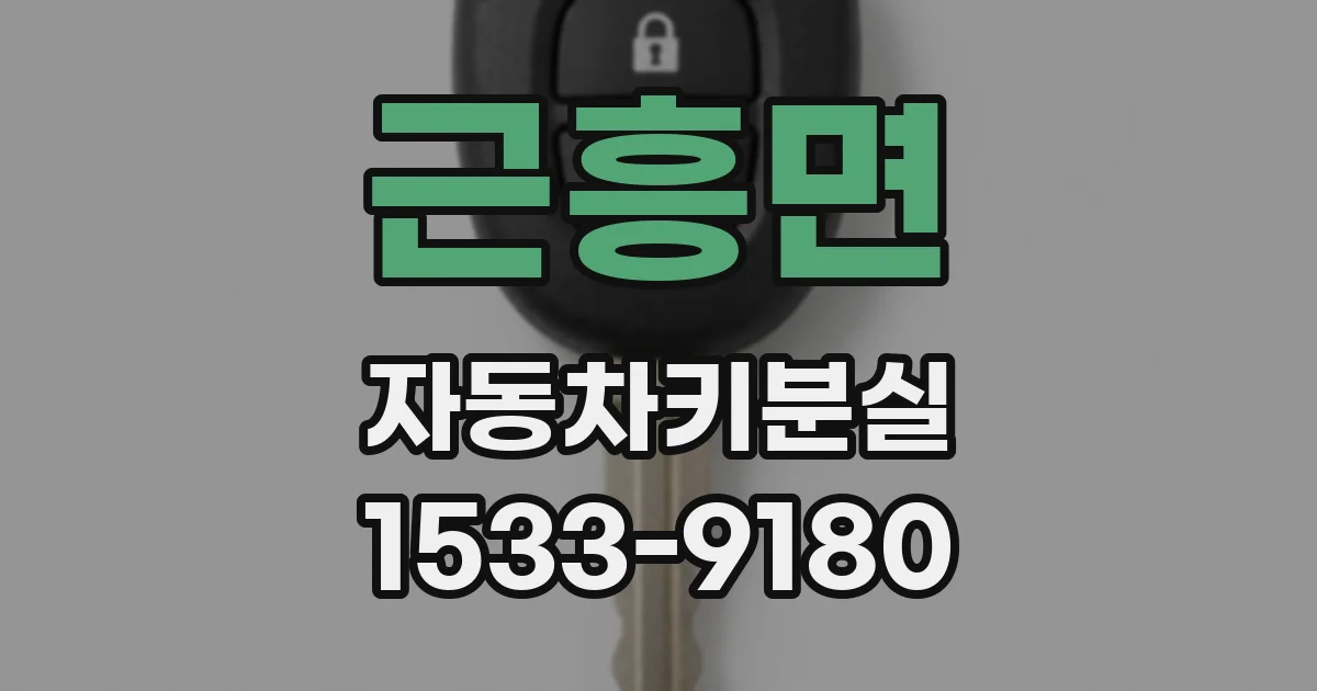 근흥면 자동차키분실