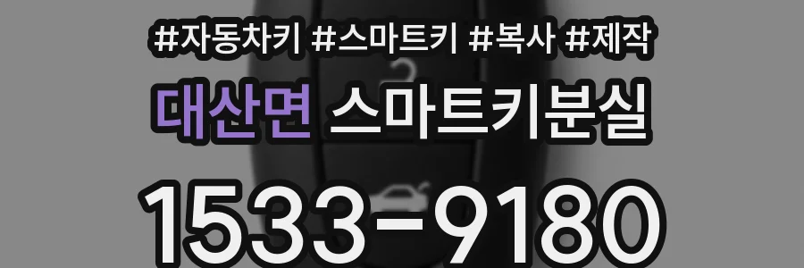 대산면 스마트키분실