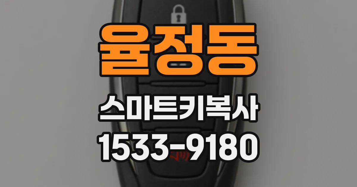 율정동 스마트키복사