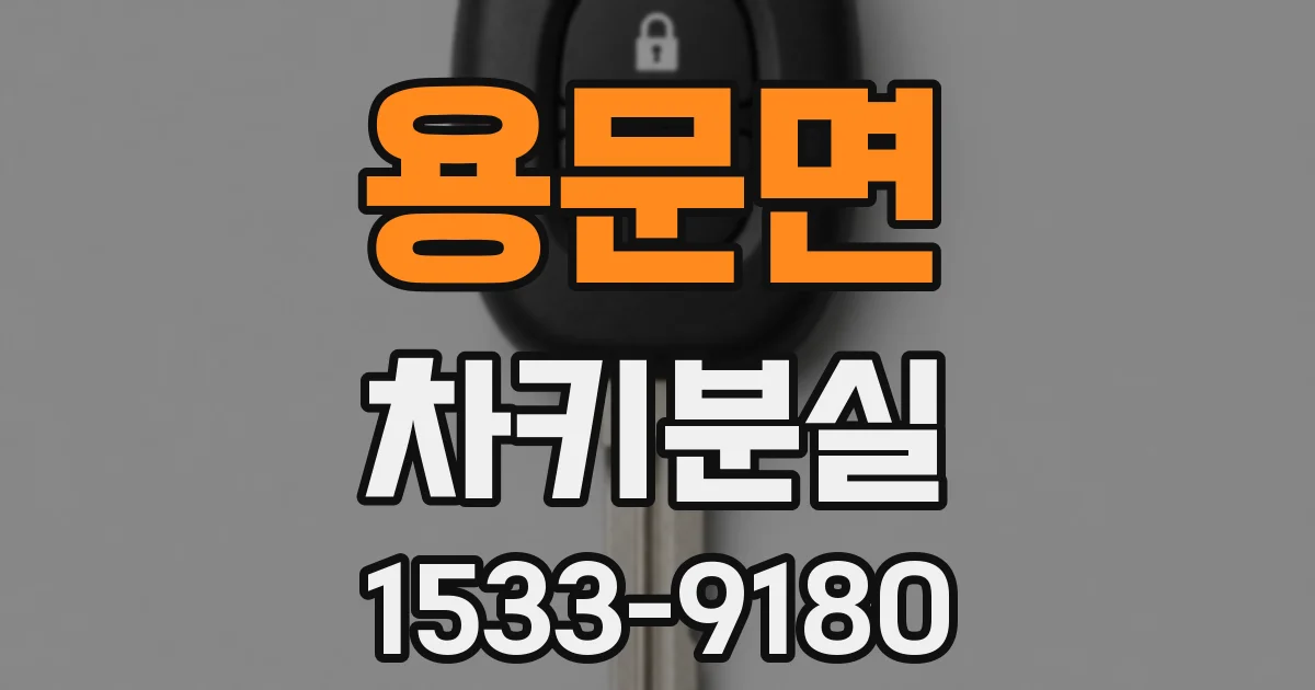 용문면 차키분실