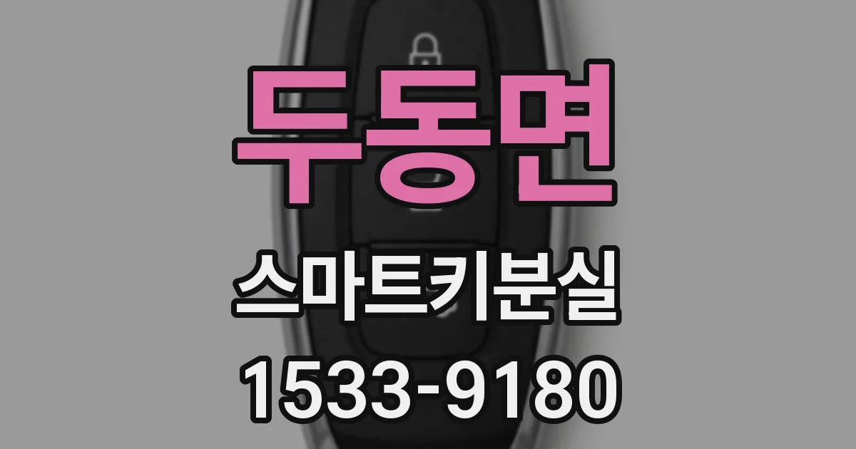 두동면 스마트키분실
