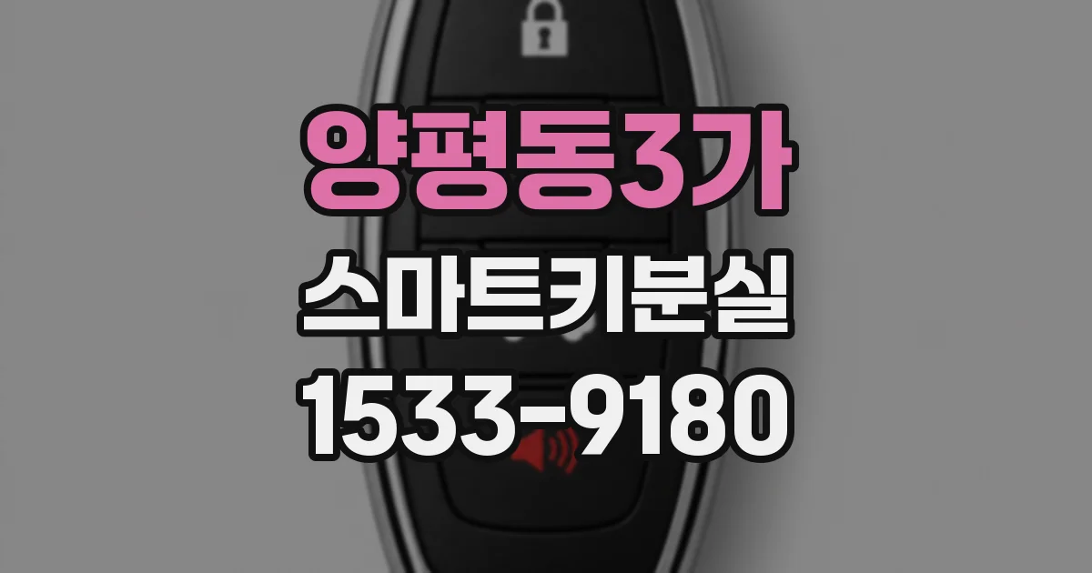 양평동3가 스마트키분실