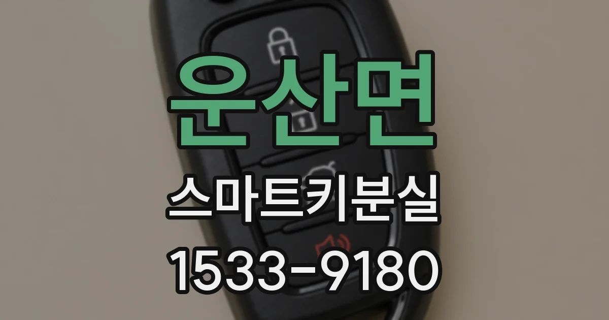 운산면 스마트키분실