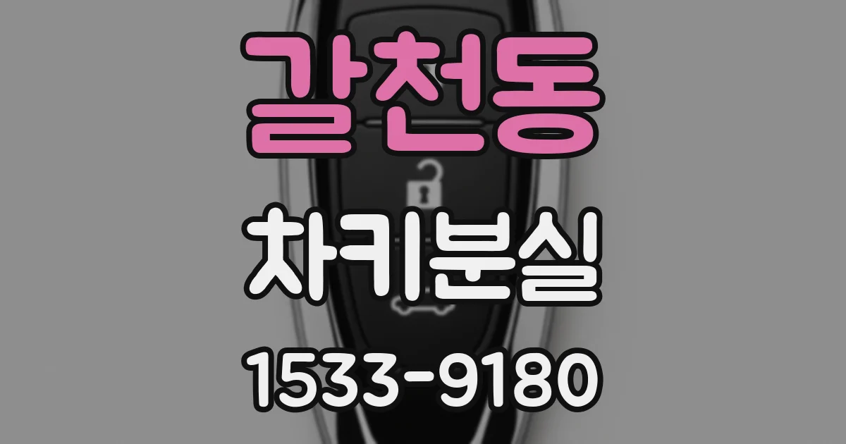 갈천동 차키분실