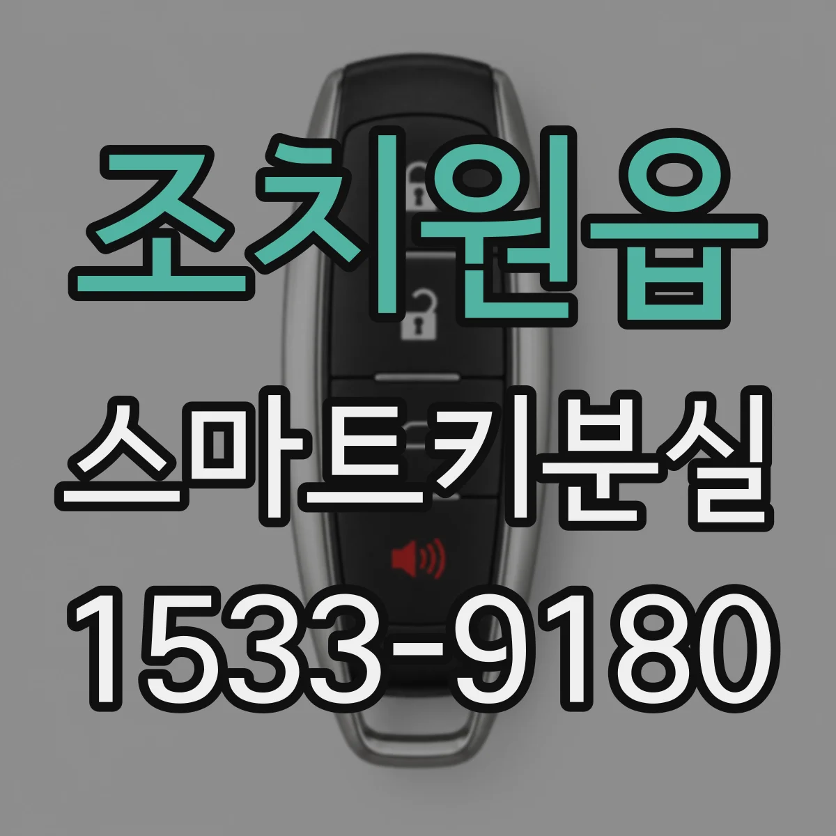 조치원읍 스마트키분실