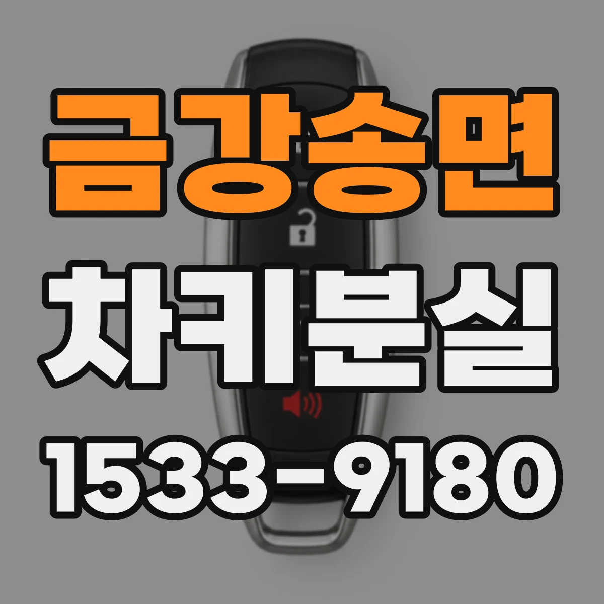 금강송면 차키분실