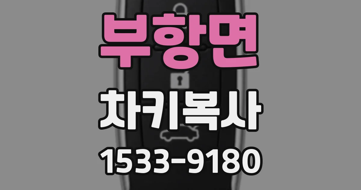 부항면 차키복사